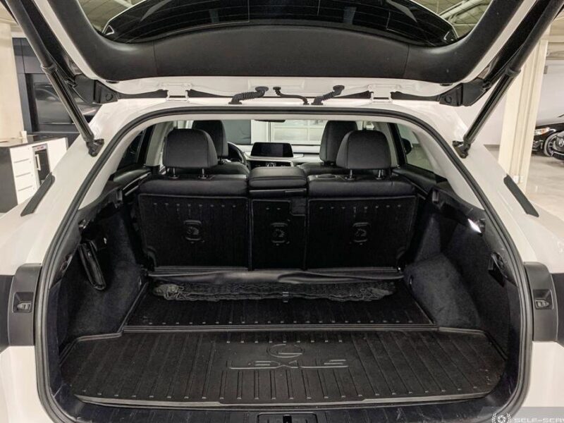 【九十脉推荐】一手车主、无事故、高性价比!2020 Lexus RX 350 AWD,Premium package,售价:$40,995(低于市场平均交易价格:11%)