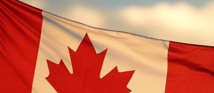 IRCC审理时间最新进度全览