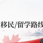 2026加拿大移民/留学路径重排：华人申请人到底该走哪条路？